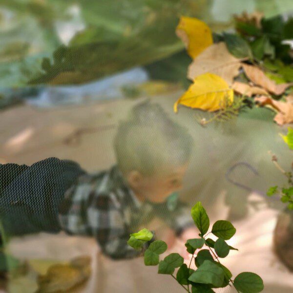 اردو مادر و کودک در سلاله