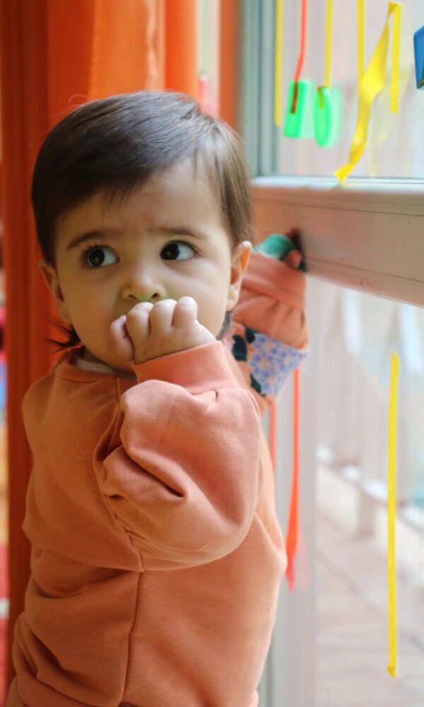 آموزش نظم وقانون پذیری