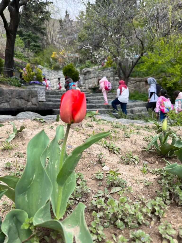 طبیهت بهار - مهدکودک در تهران