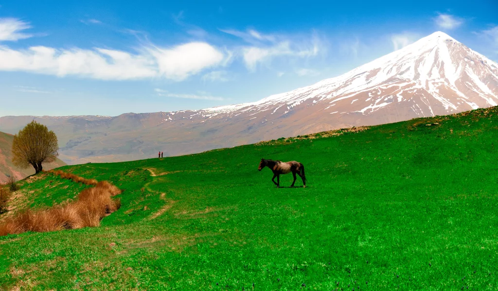 طبیعت گردی با پردیس سلاله